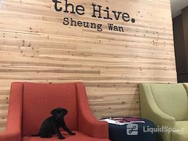 the Hive Sheung Wan