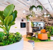 City Hall | The Adelphi