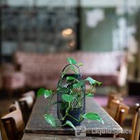 Impact Hub Stuttgart