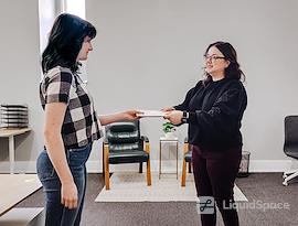 Haven Collective - Mansion