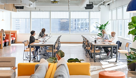 WeWork | 515 N State