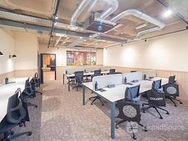 Colony | Spring Gardens