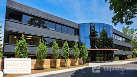 HAYVN Coworking Darien