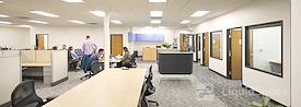 Bloom Workspaces