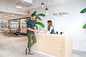 the Hive on Seven