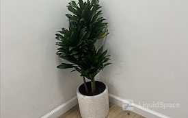 Management Matab LLC Suite