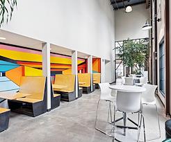 Boxer - 3827 Lafayette Street