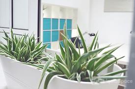 Metropolitan Design Lab