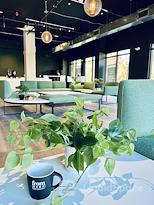 from HERE @ The Junction