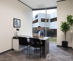 Boxer - 11011 Richmond Ave