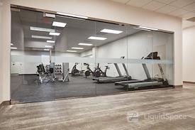 Boxer - 85 Swanson Road