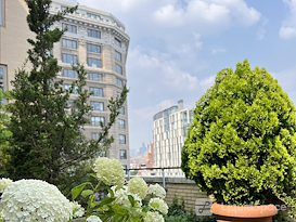 Soho Terrace