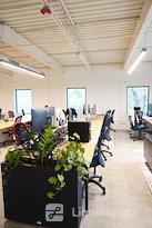 Tigerlabs on Witherspoon