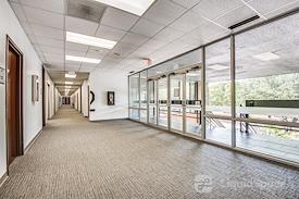 Boxer - 13154 Coit Road