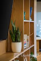 SPACES || Santa Monica