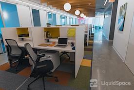 The Yard: Williamsburg Bridge