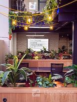 Colony | Jactin House