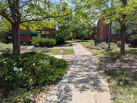 Couples Counseling of Denver