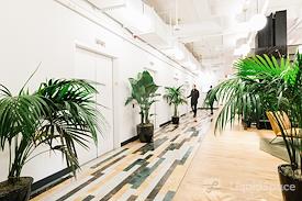 WeWork | 115 Broadway
