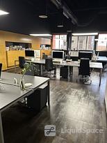 Little Buddha Branding Agency