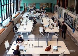 TSH Collab Amsterdam City