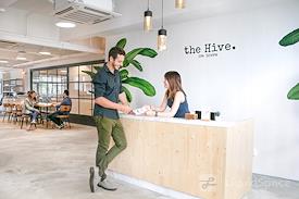 The Hive on Seven