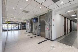 Boxer - Eighty-Five Hundred Stemmons