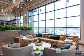 Life Time Work - Edina