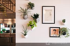 WeWork | 177 E Colorado Blvd