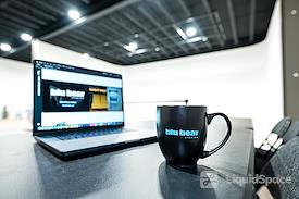 Blu Bear Studios