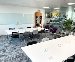 The Curious Lounge CIC