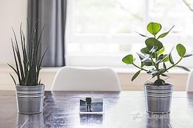 StartDock Herengracht (DUP)