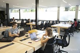 Working & Co. - Palermo Hollywood