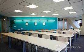 SURF Incubator