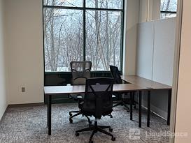 True North Financial Solutions