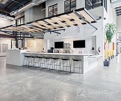 Boxer - 3827 Lafayette Street