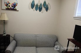 The Collective Wellness Institute