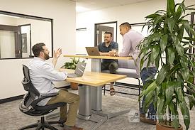 Bloom Workspaces