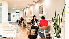 HAYVN Coworking Darien