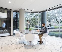 Boxer - 11011 Richmond Ave