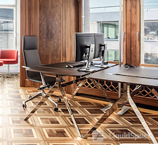 Satellite Office Gryffenberg AG