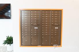 Local Office