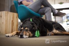 Satellite Workplace & Digital Media Studio