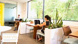 HAYVN Coworking Greenwich
