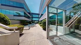 Boxer - 1801 N Hampton Road