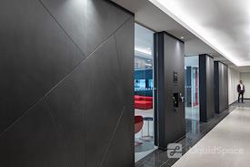 The Professional Centre