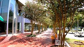 Office In America Co.