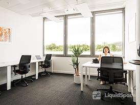 Regus | Wallisellen, Business Park
