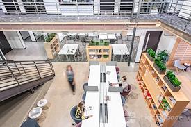 SPACES || Linden Street