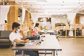 The Pioneer Collective - Tacoma